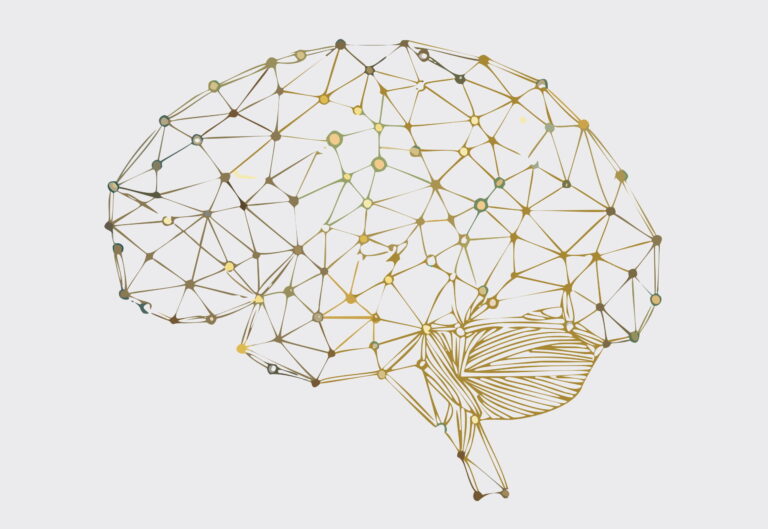 Neurobiología de la superdotación